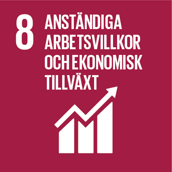 SDG.8